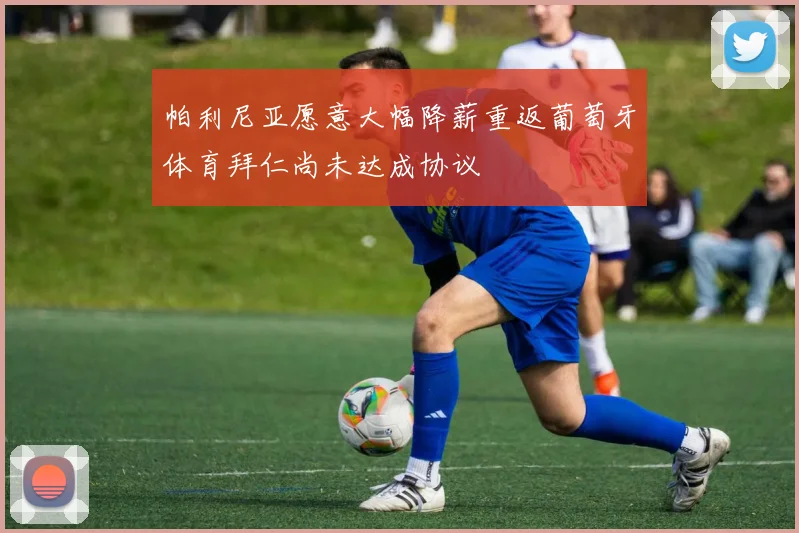 帕利尼亚愿意大幅降薪重返葡萄牙体育拜仁尚未达成协议