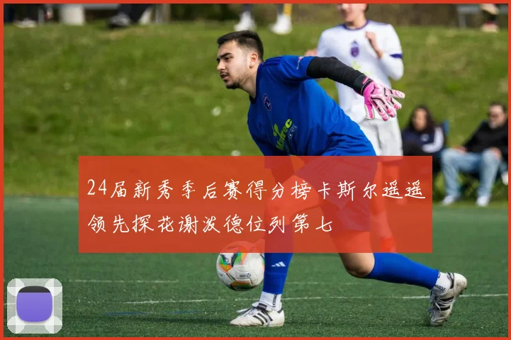 24届新秀季后赛得分榜卡斯尔遥遥领先探花谢泼德位列第七